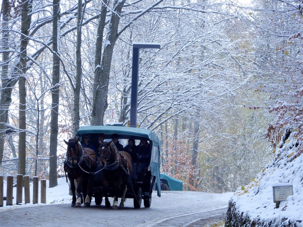 f:id:q4xl:20171115231505j:image