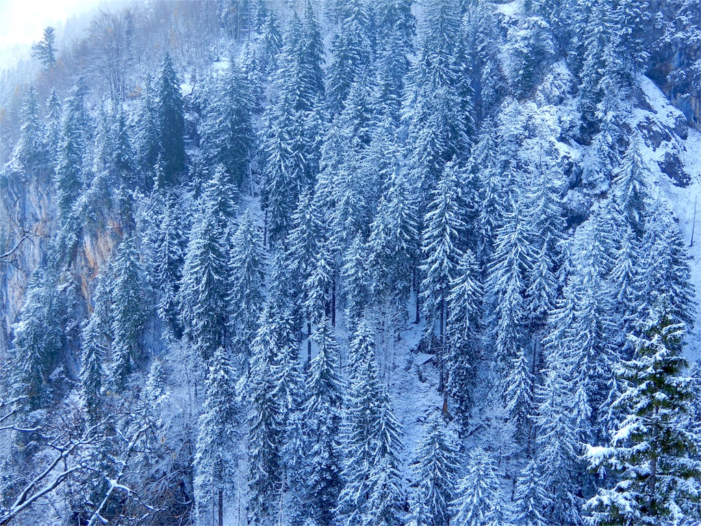 f:id:q4xl:20171115231552j:image