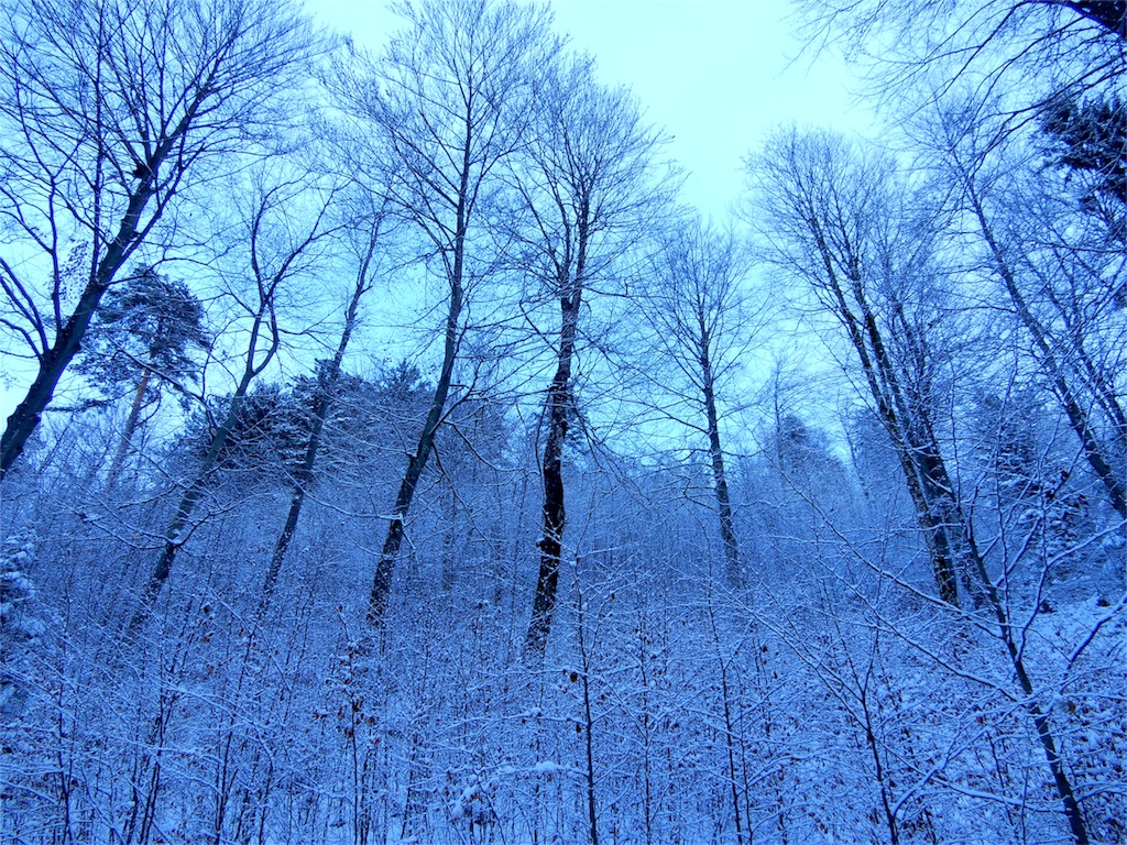 f:id:q4xl:20171115231626j:image