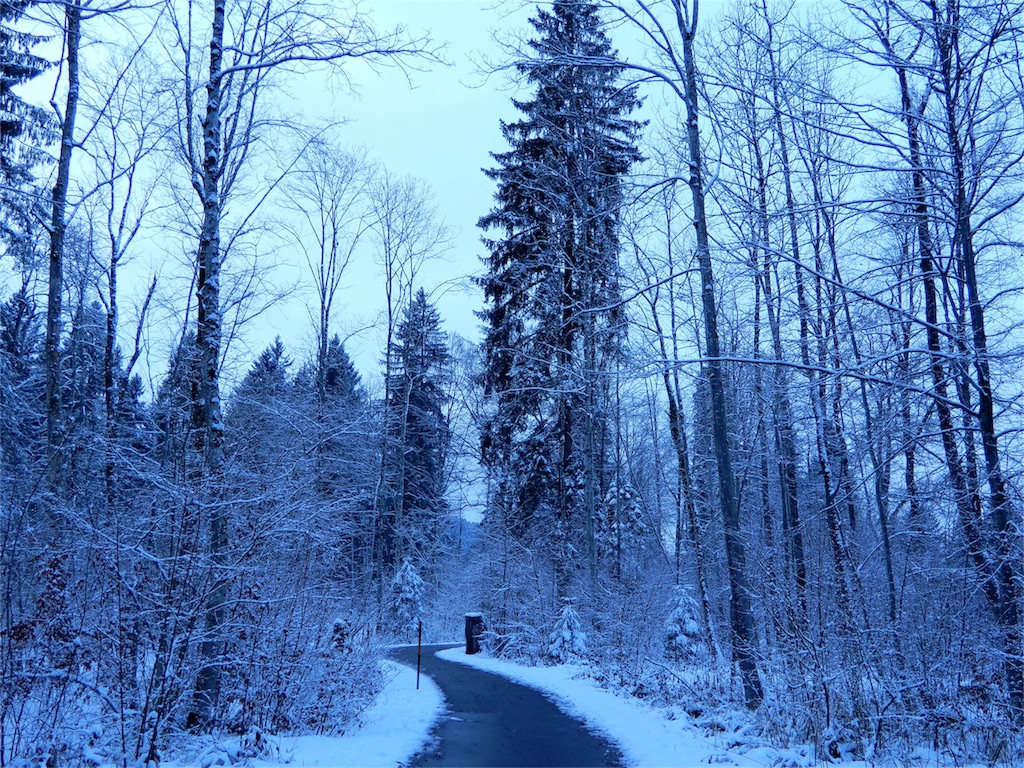 f:id:q4xl:20171115231803j:image