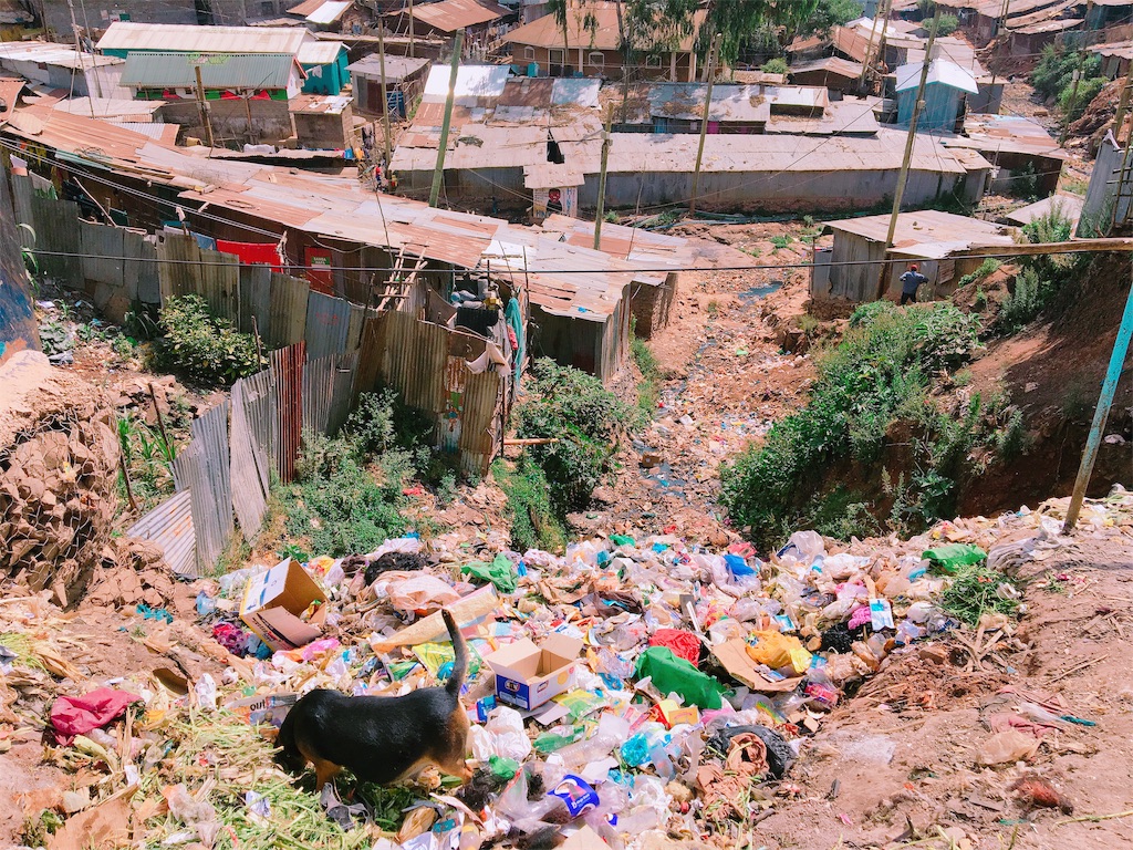 f:id:q4xl:20190714155322j:image