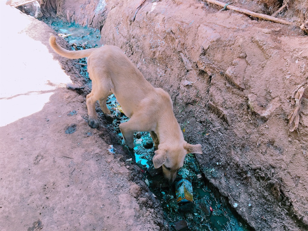 f:id:q4xl:20190714155531j:image