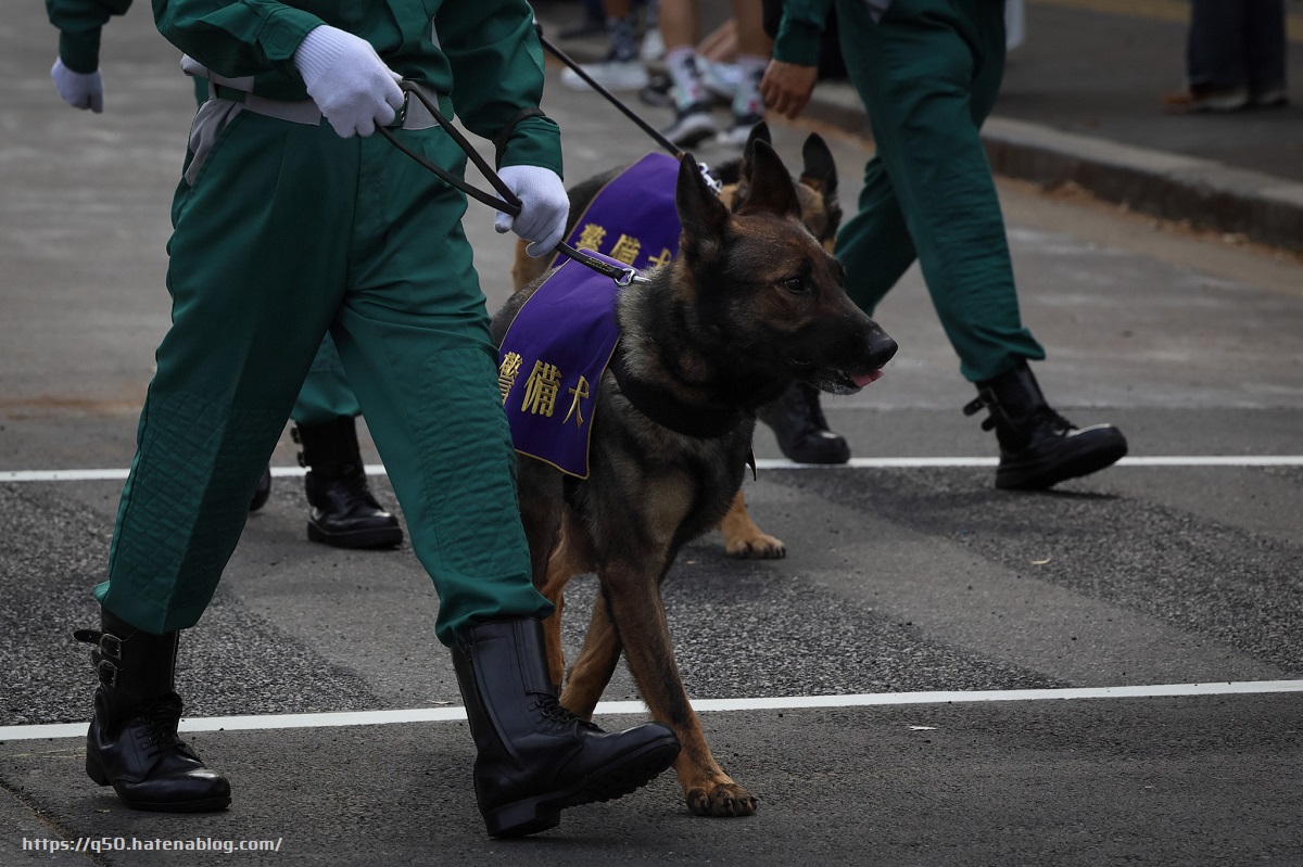 警視庁機動隊観閲式