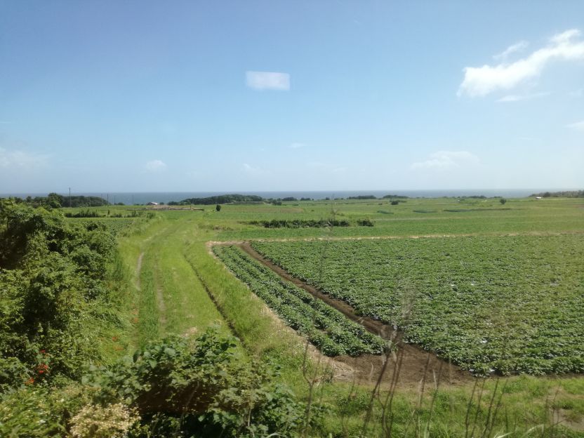 f:id:q7z:20190413233634j:plain