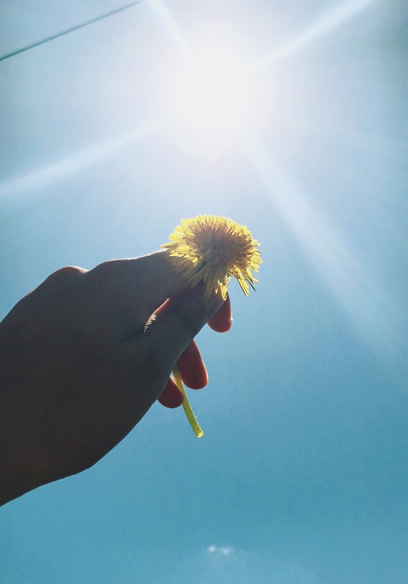 f:id:qToybox:20201019235906j:plain