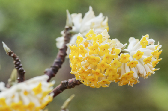 f:id:qayap:20140316140141j:image