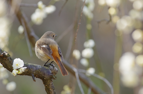 f:id:qayap:20140316141449j:image