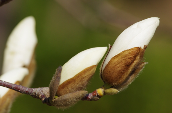 f:id:qayap:20140323153546j:image f:id:qayap:20140323153546j:image