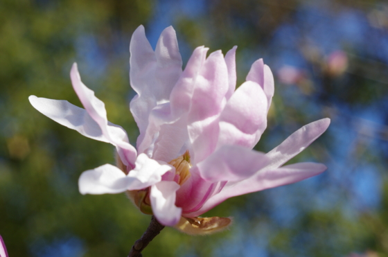 f:id:qayap:20140323153613j:image f:id:qayap:20140323153613j:image