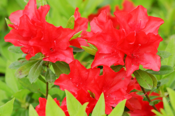 f:id:qayap:20140420212221j:image