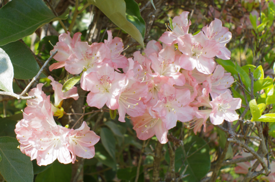 f:id:qayap:20140426205049j:image