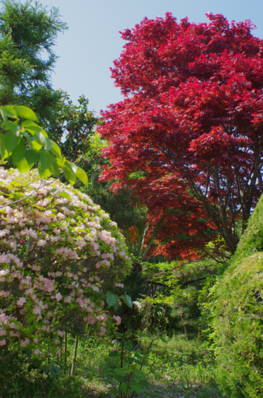 f:id:qayap:20140426205308j:image
