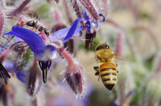 f:id:qayap:20140511191600j:image