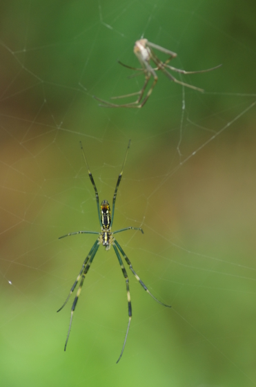 f:id:qayap:20140811133739j:image