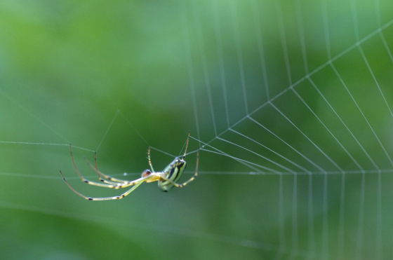 f:id:qayap:20140811204122j:image