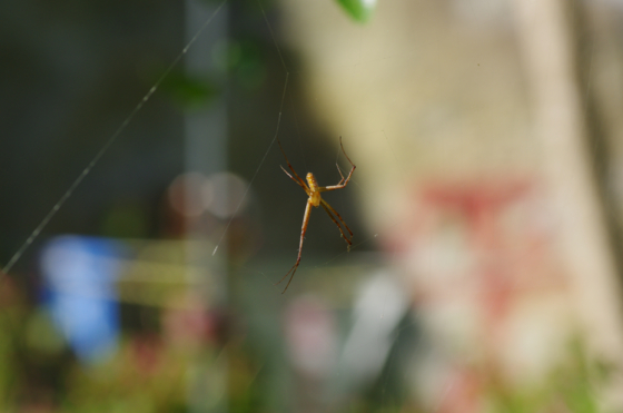 f:id:qayap:20140830213133j:image