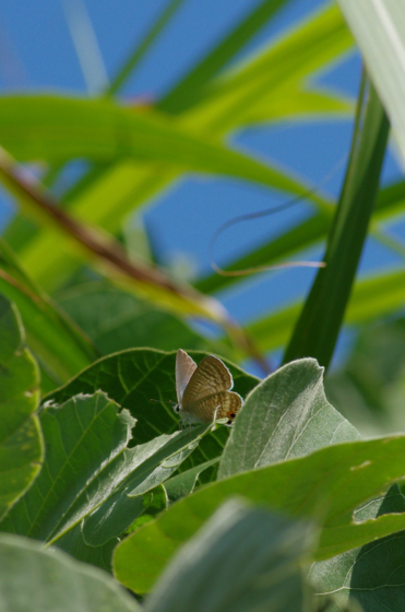 f:id:qayap:20140921153925j:image f:id:qayap:20140921153925j:image