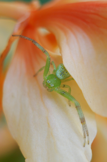 f:id:qayap:20140927145844j:image f:id:qayap:20140927145844j:image