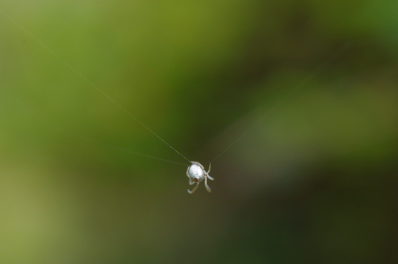 f:id:qayap:20141011201521j:image f:id:qayap:20141011201521j:image