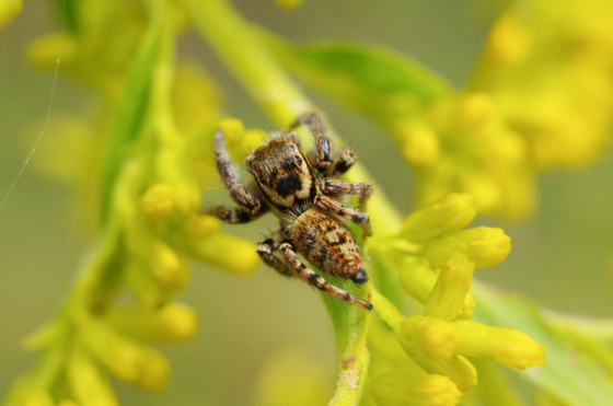 f:id:qayap:20141011201542j:image f:id:qayap:20141011201542j:image