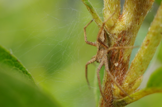 f:id:qayap:20141011201605j:image f:id:qayap:20141011201605j:image