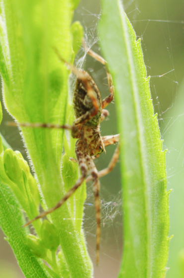 f:id:qayap:20141011201633j:image f:id:qayap:20141011201633j:image