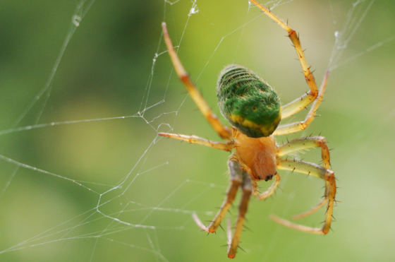 f:id:qayap:20141011201652j:image f:id:qayap:20141011201652j:image