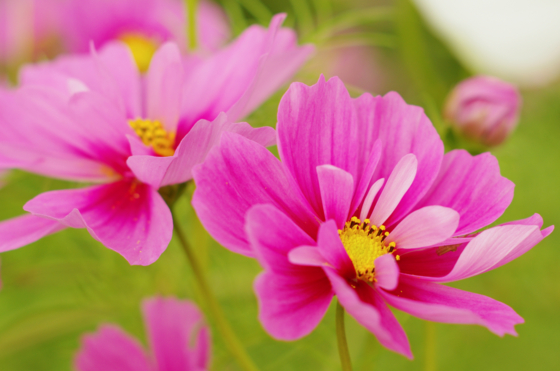 f:id:qayap:20141012141350j:image