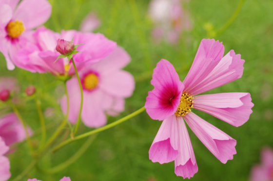 f:id:qayap:20141012141501j:image