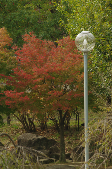 f:id:qayap:20141116154756j:image