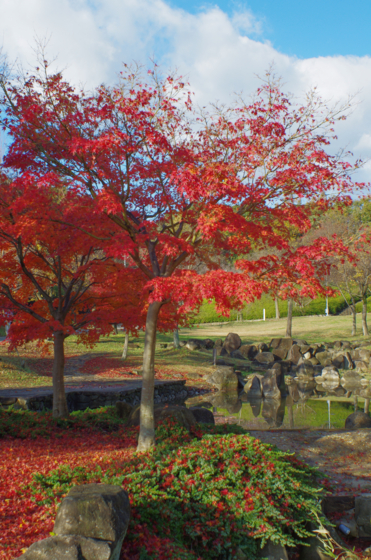 f:id:qayap:20141130164957j:image