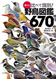 ♪鳥くんの比べて識別! 野鳥図鑑670