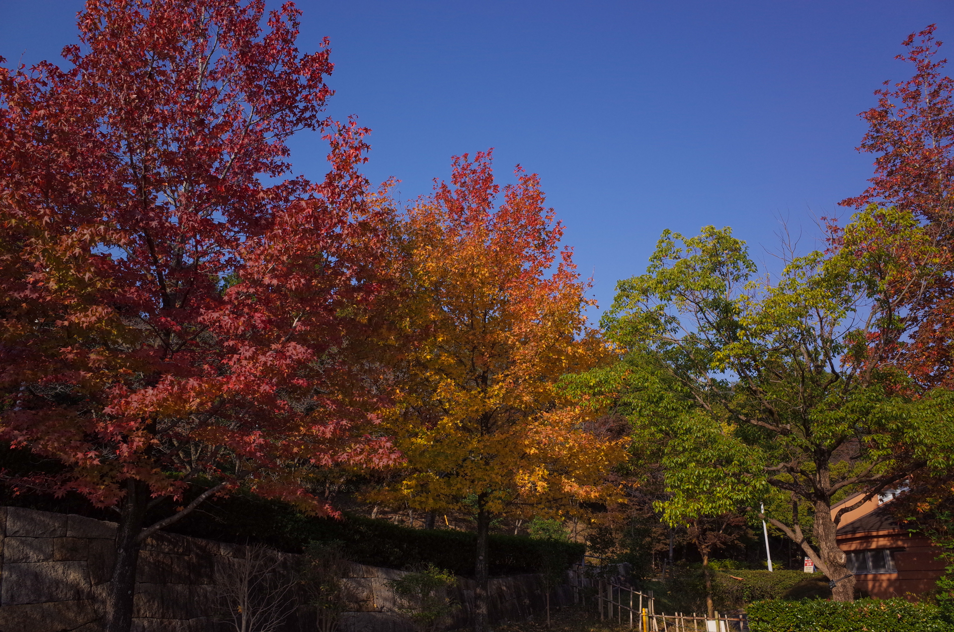 f:id:qayap:20171105155320j:plain