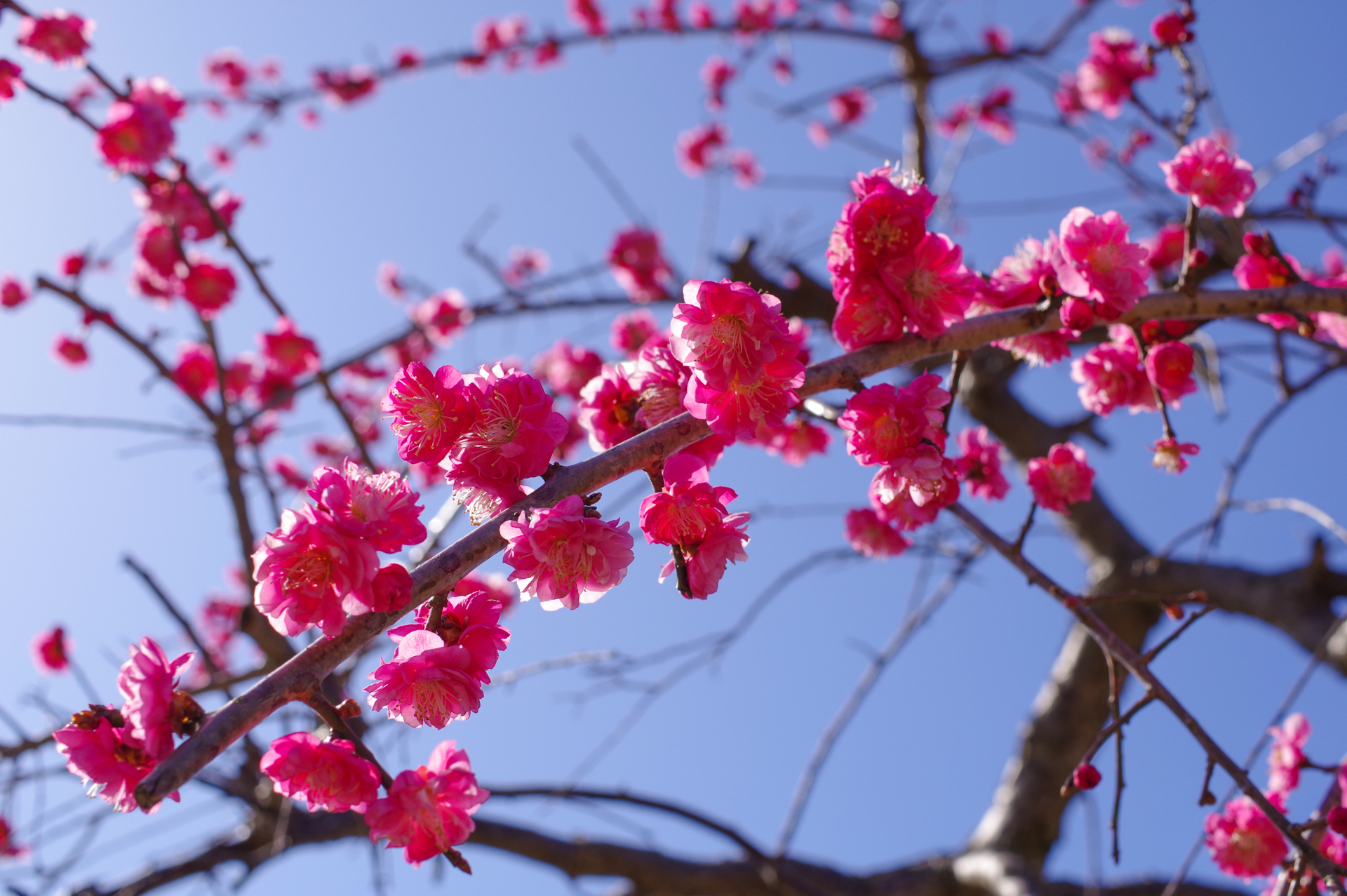 f:id:qayap:20180311155408j:plain f:id:qayap:20180311155408j:plain