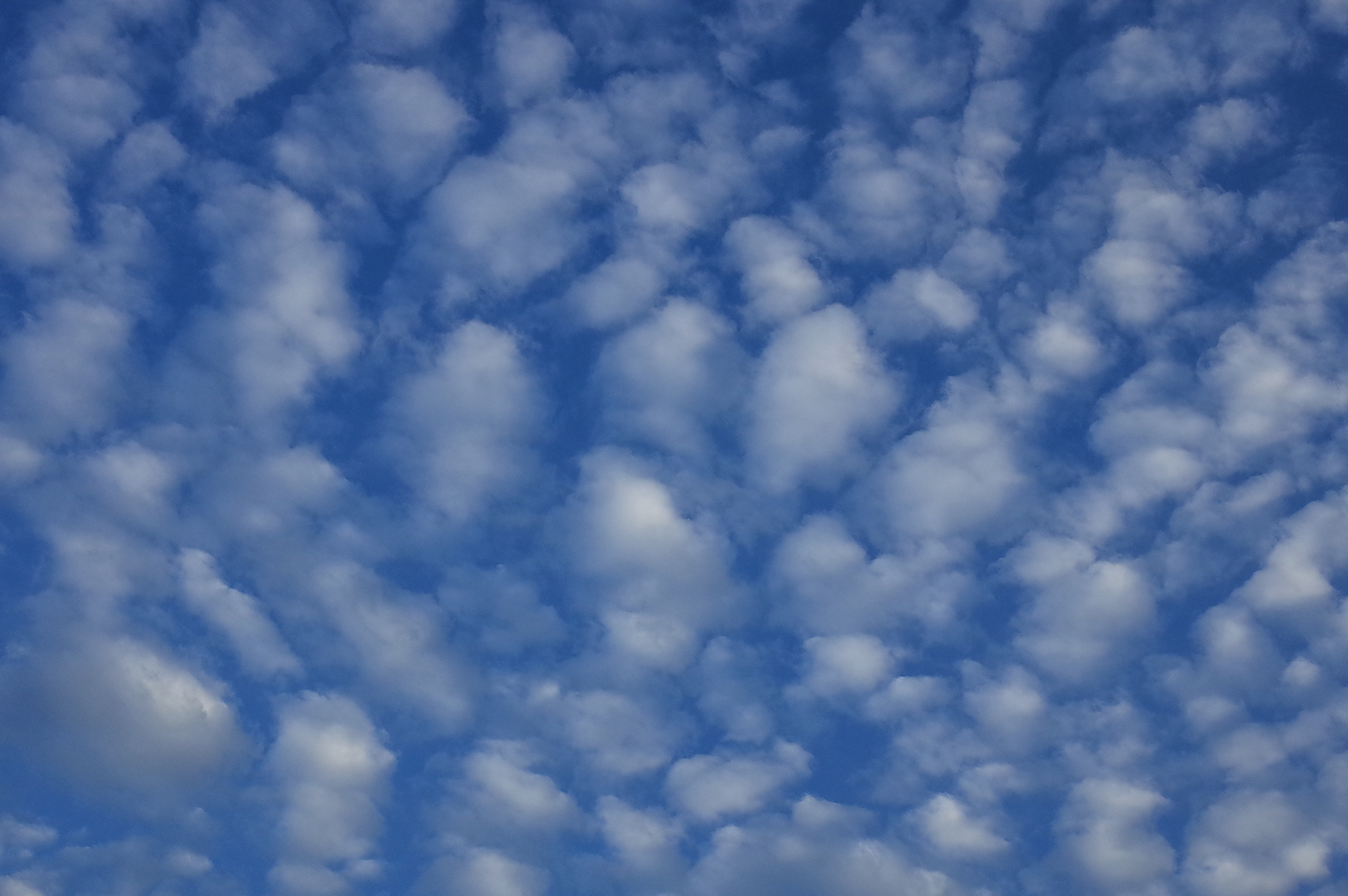 f:id:qayap:20181002231809j:plain