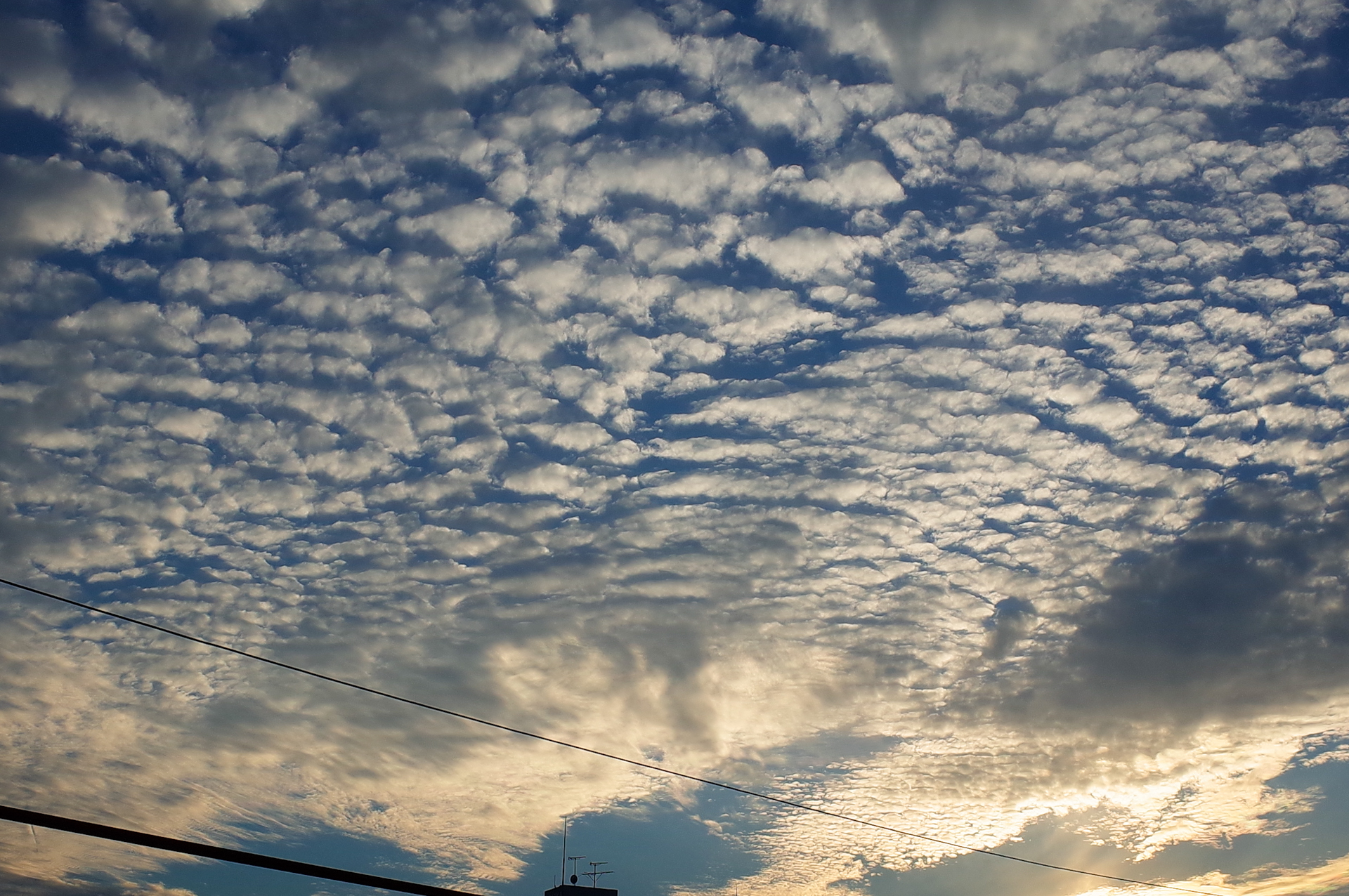 f:id:qayap:20181002231925j:plain