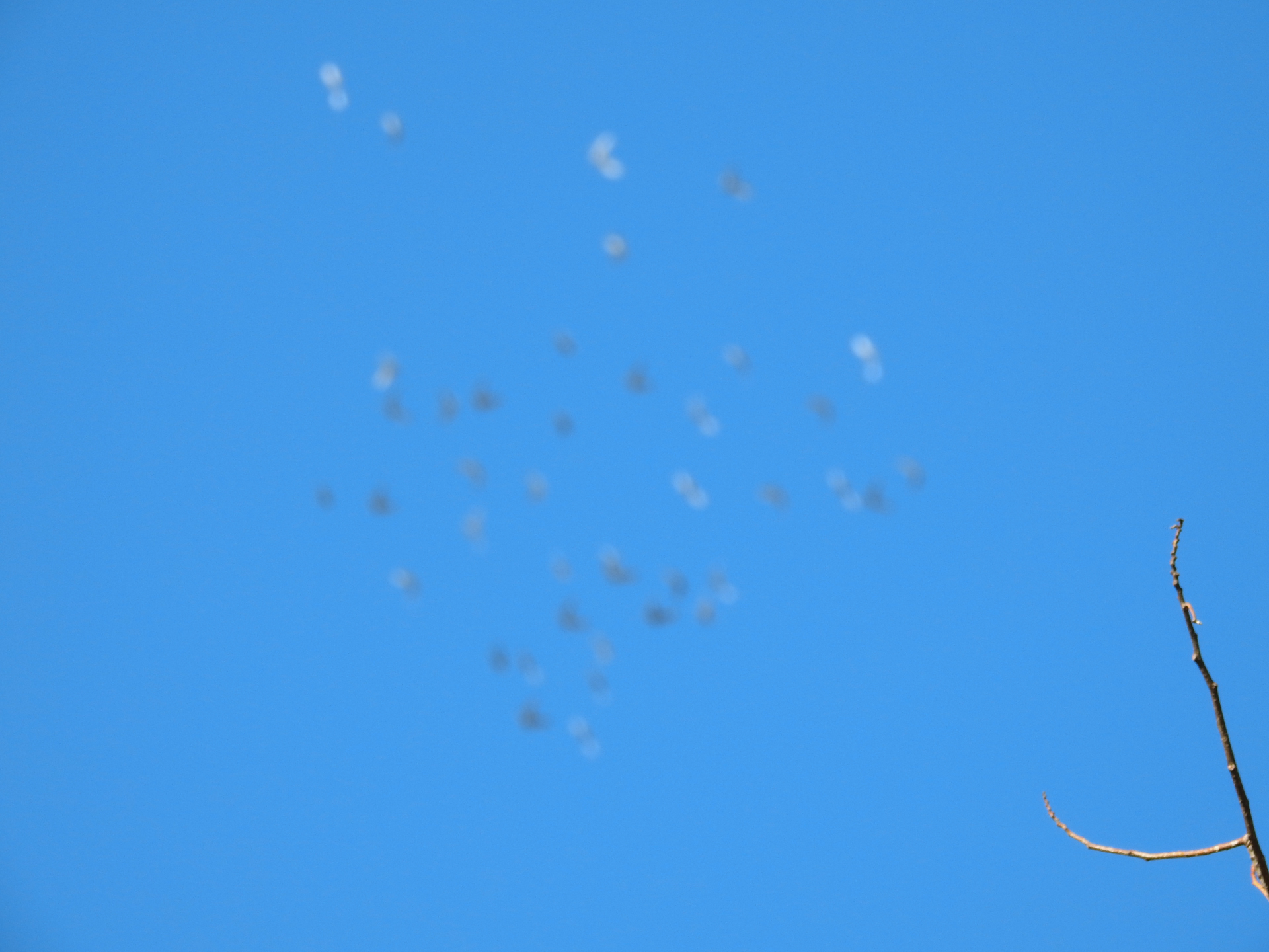 f:id:qayap:20190113142453j:plain f:id:qayap:20190113142453j:plain