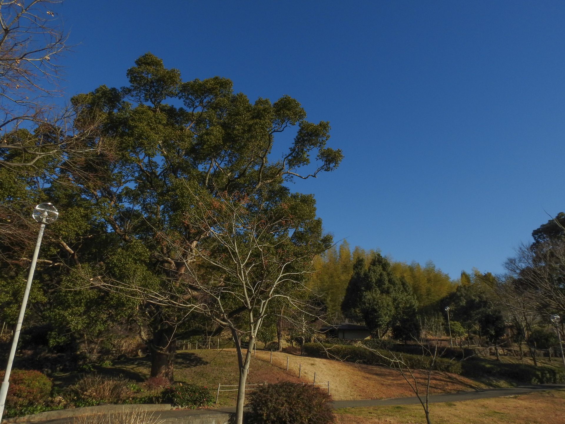 f:id:qayap:20190113142705j:plain f:id:qayap:20190113142705j:plain