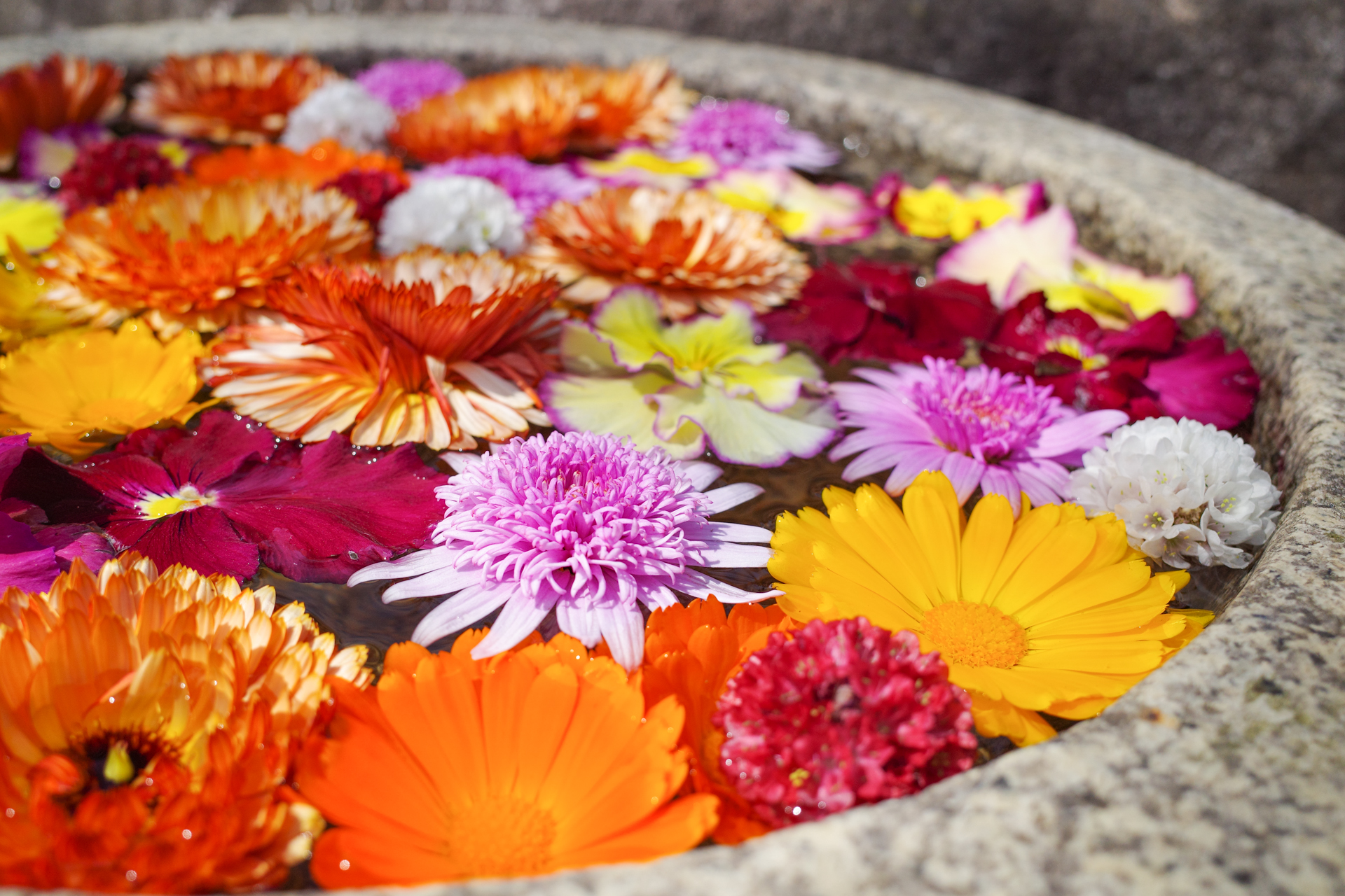 f:id:qayap:20200321230146j:plain