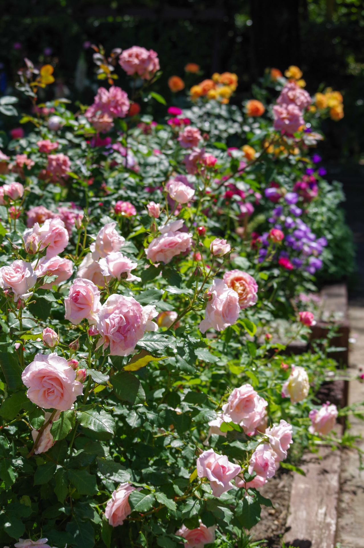 f:id:qayap:20200517214311j:plain