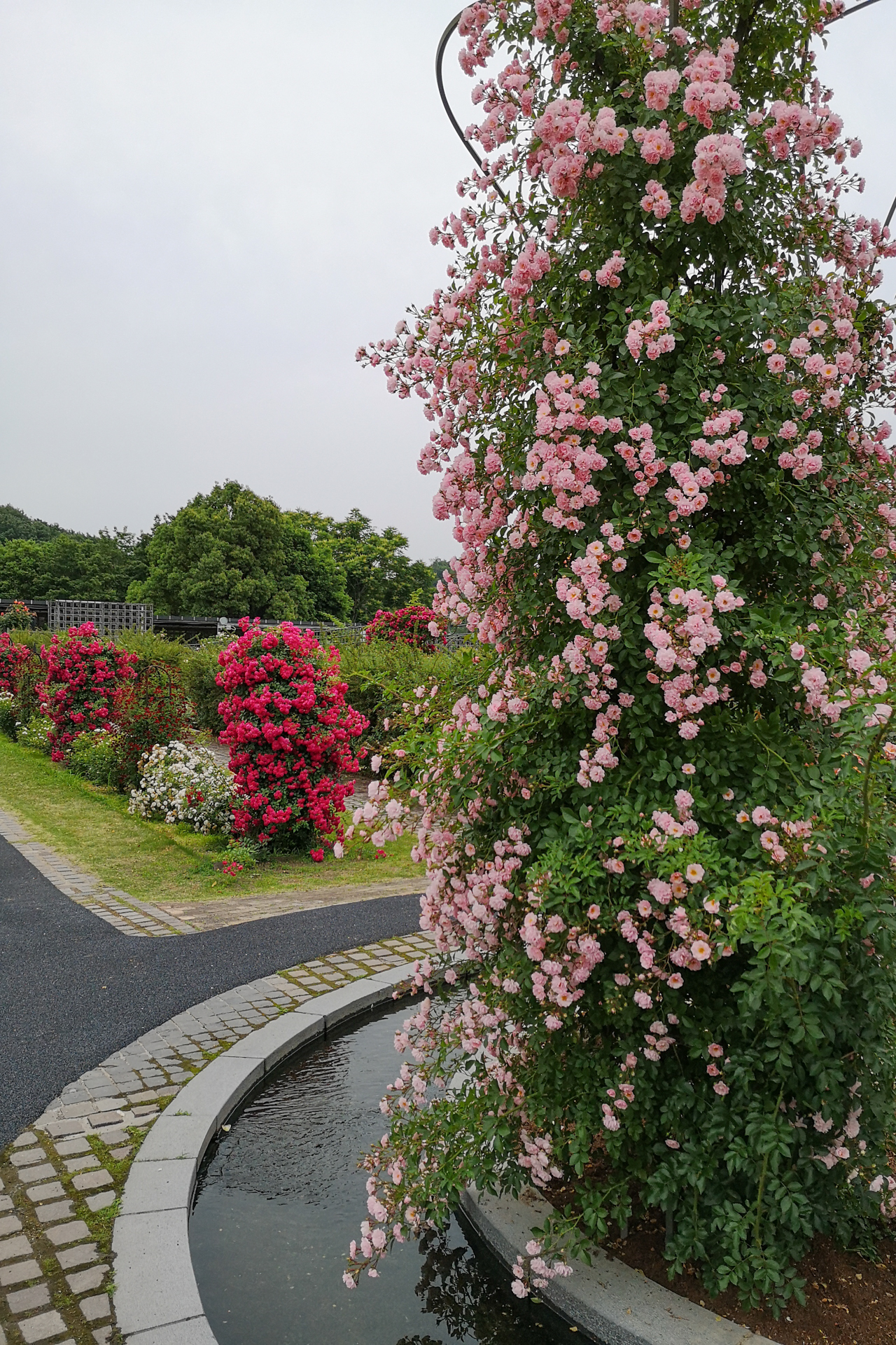 f:id:qayap:20200606224245j:plain