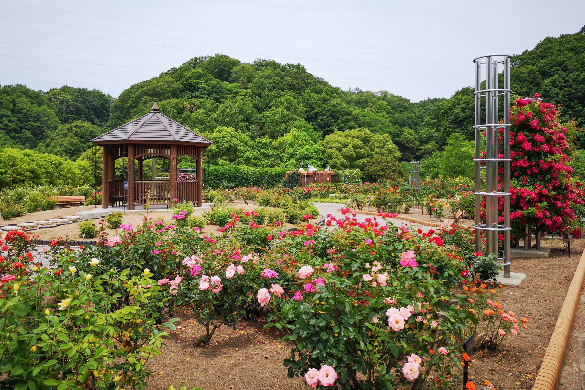 f:id:qayap:20200606224327j:plain