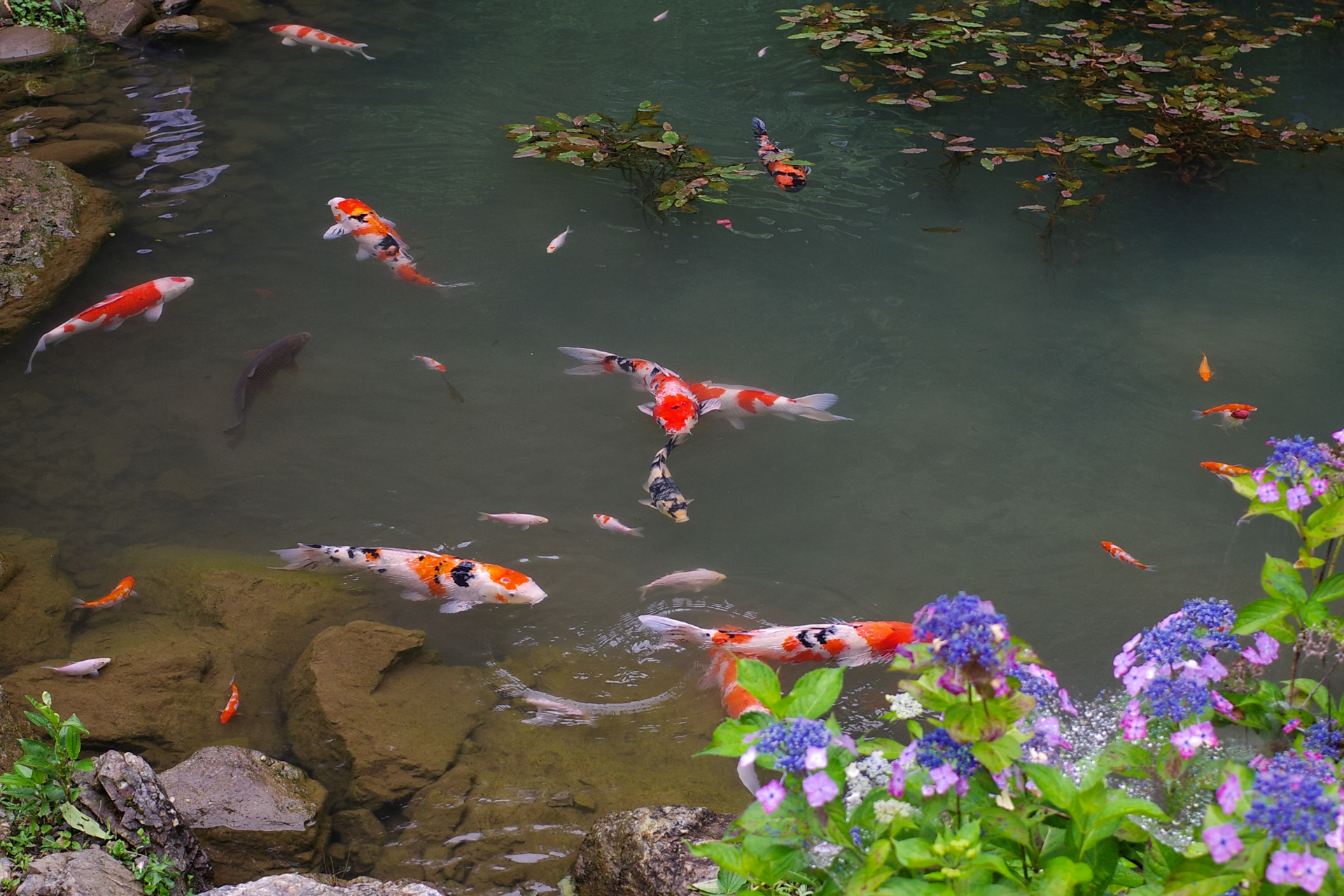 f:id:qayap:20200626225744j:plain