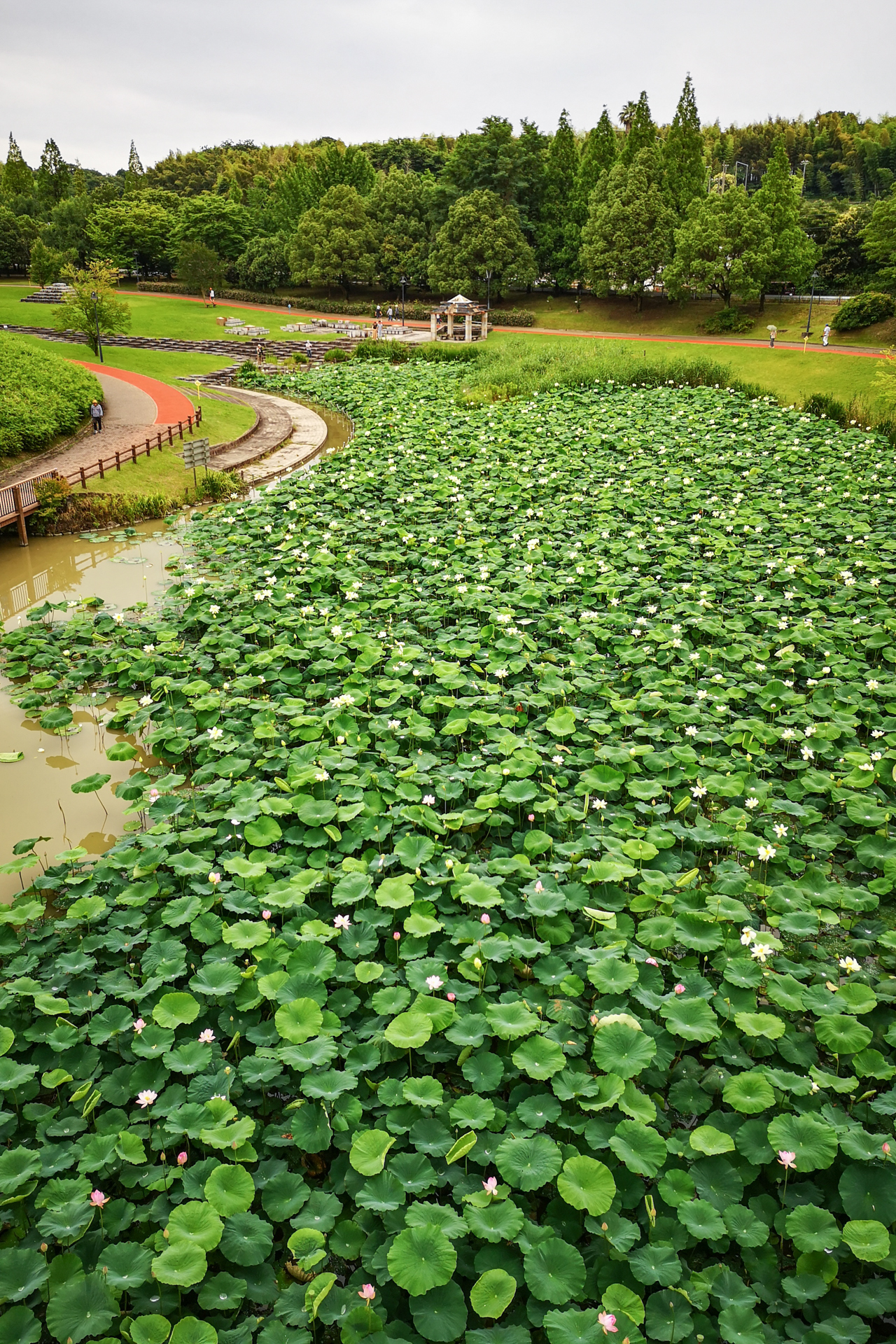 f:id:qayap:20200705205214j:plain