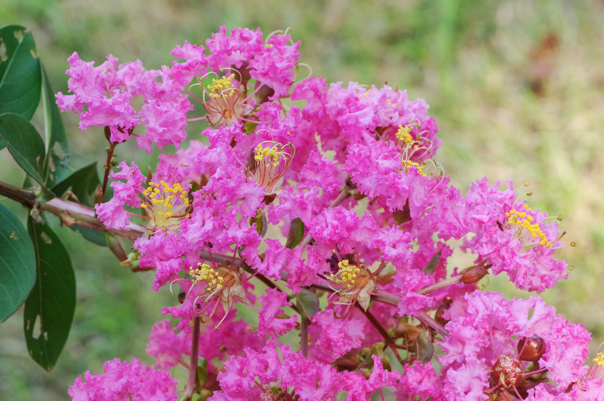 f:id:qayap:20200921174713j:plain f:id:qayap:20200921174713j:plain