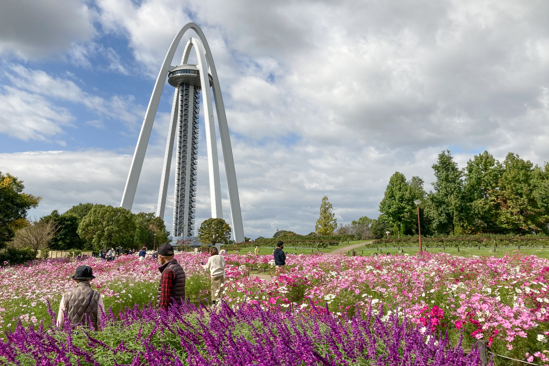 f:id:qayap:20201025215259j:plain