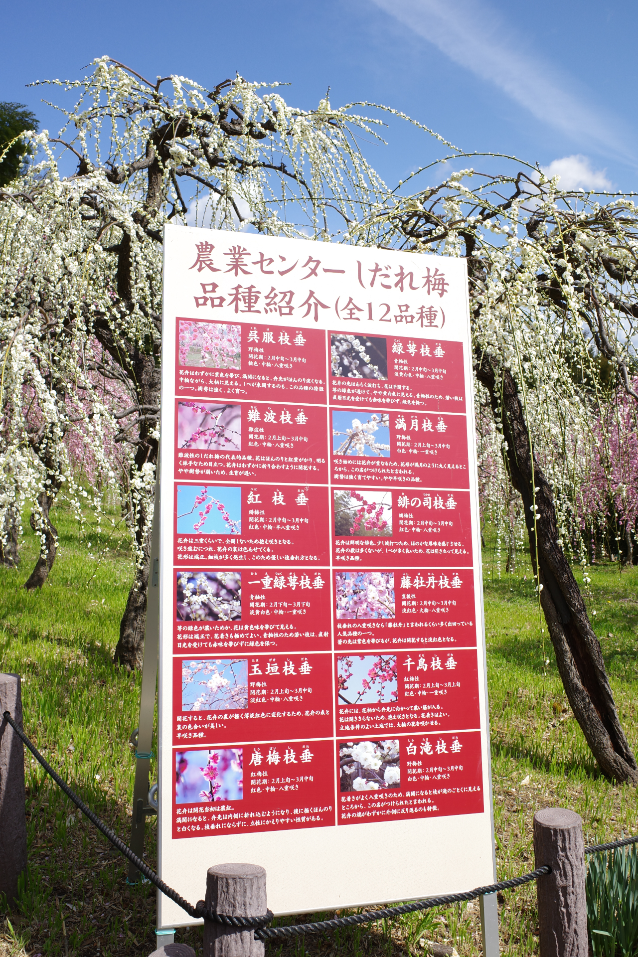 f:id:qayap:20210306173922j:plain