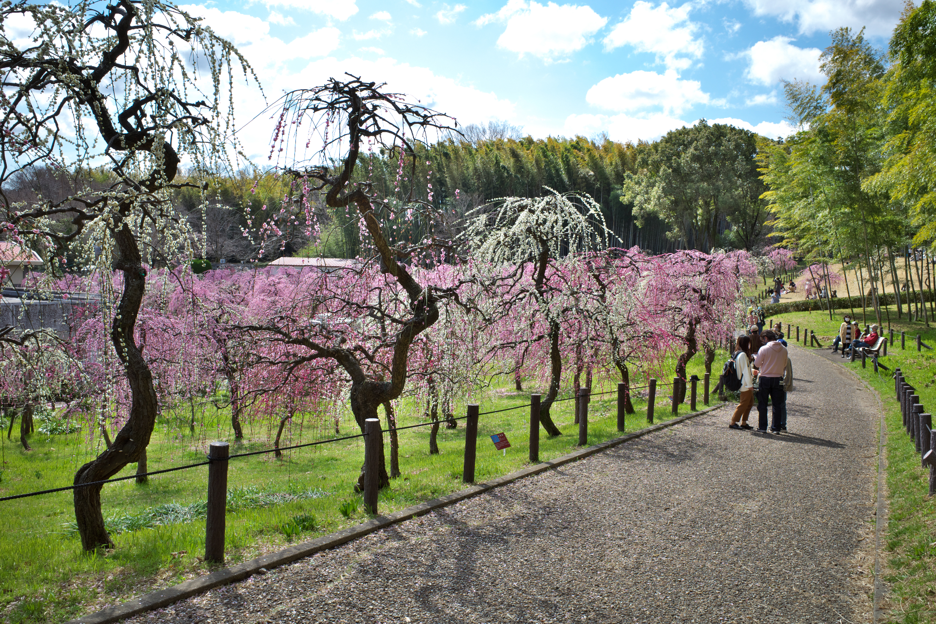 f:id:qayap:20210306174214j:plain