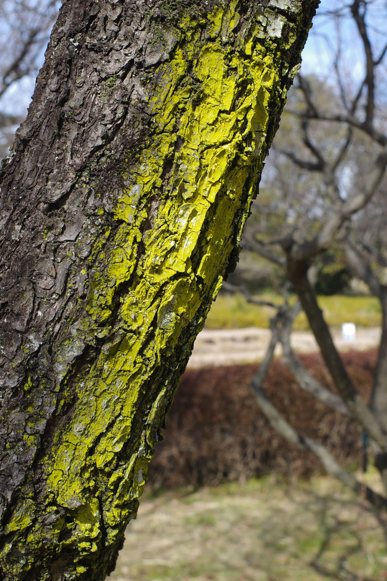 f:id:qayap:20220212213423j:plain