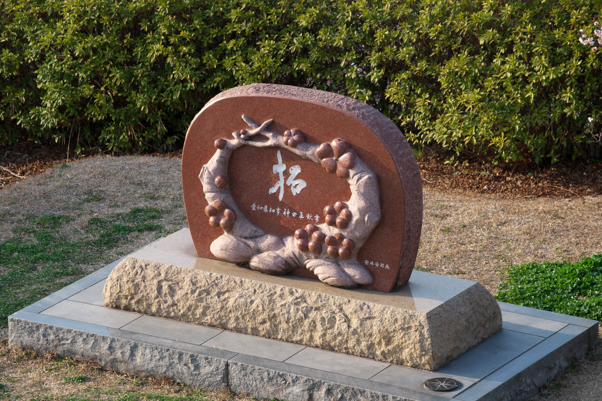 f:id:qayap:20220312215605j:plain